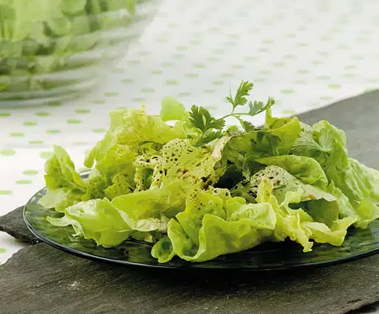 Petite salade verte
